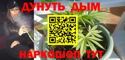 Альфа ПВП Рузаевка