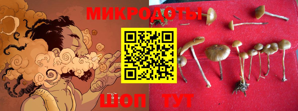 Галлюциногенные грибы мухоморы  где можно купить   Нурлат  Вход с VPN 